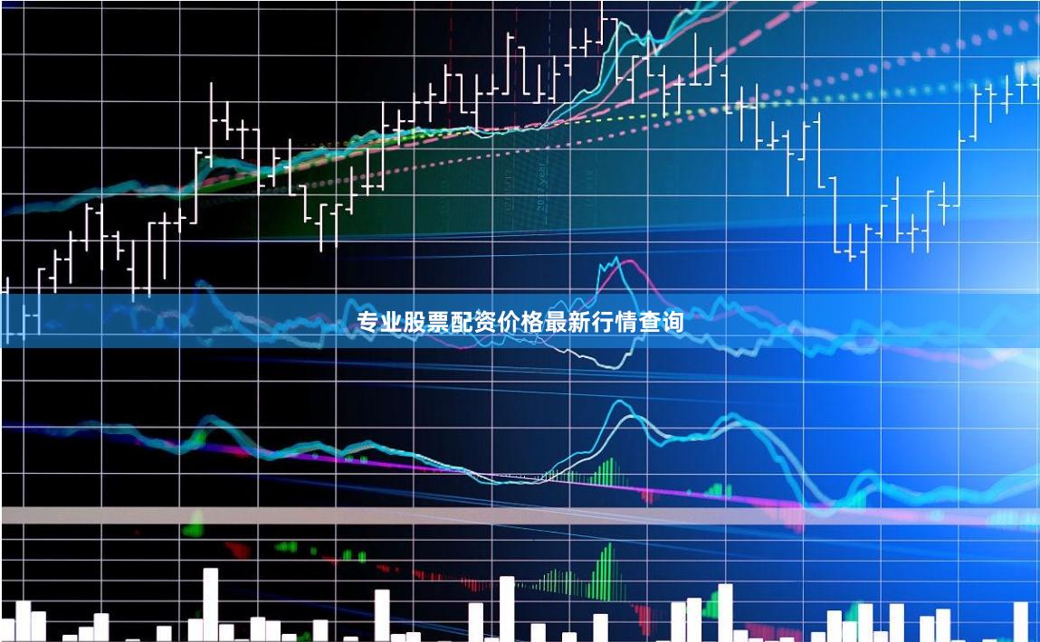 专业股票配资价格最新行情查询