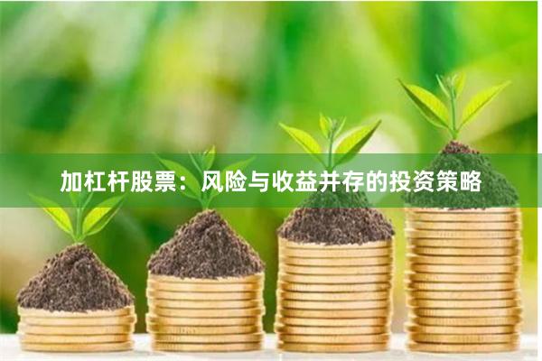 加杠杆股票：风险与收益并存的投资策略